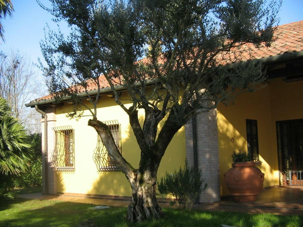 B&B La Vigna Di Federico Rubano Exterior foto